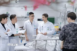 (Ảnh minh họa. Minh Quyết/TTXVN)