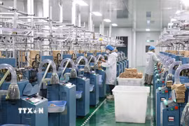 Hoạt động sản xuất tại các doanh nghiệp FDI trên địa bàn tỉnh Tây Ninh. (Ảnh: Bùi Giang/TTXVN)