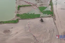 Ninh Bình hóa giải "điểm nóng" về thu hồi đất cho dự án tại Cồn Xanh