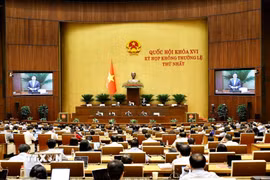 Quang cảnh phiên họp sáng 13/8. (Ảnh: Doãn Tấn/TTXVN)