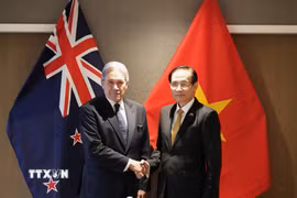 Ủy viên Bộ Chính trị, Bộ trưởng Bộ Ngoại giao Lê Hoài Trung và Bộ trưởng Ngoại giao New Zealand Winston Peters. (Ảnh: Diệu Linh/TTXVN)