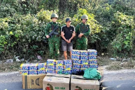 Đối tượng Trần Văn Bình và tang vật 30 hộp pháo hoa nổ bị lực lượng chức năng bắt giữ. (Ảnh: TTXVN phát)