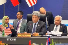 Bộ trưởng Ngoại giao Malaysia Mohamad Hasan. (Ảnh: Viên Luyến/TTXVN)
