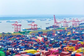 Quang cảnh cảng hàng hóa ở tỉnh Giang Tô, Trung Quốc. (Ảnh: THX/TTXVN)