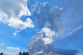 Tro bụi phun lên từ núi lửa Lewotobi Laki-Laki ở Đông Flores, Đông Nusa Tenggara, Indonesia, ngày 7/7/2025. (Ảnh: THX/TTXVN)