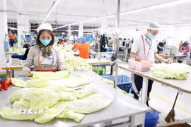 May hàng xuất khẩu sang thị trường Nhật Bản tại Công ty May Hưng Việt, Hưng Yên. (Ảnh: Trần Việt/TTXVN)
