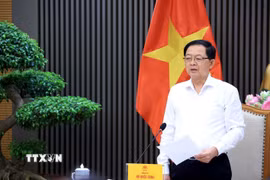 Phó Thủ tướng Hồ Quốc Dũng phát biểu. (Ảnh: Tuấn Anh/TTXVN)