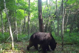 (Ảnh minh họa. Nguồn: AFP)
