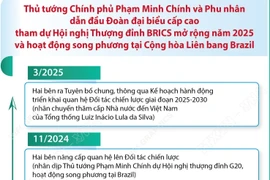 Quan hệ Đối tác chiến lược Việt Nam-Brazil
