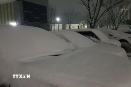 Tuyết rơi dày tại Daejeon, Hàn Quốc (Ảnh: Yonhap/TTXVN)