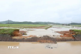 Để sớm khôi phục sản xuất cho người dân cần hoàn thành sửa chữa hệ thống kênh mương thủy lợi. (Ảnh: Tuấn Anh/TTXVN)
