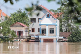 Nước sông Cầu dâng cao, gây ngập lụt nhiều hộ ven sông