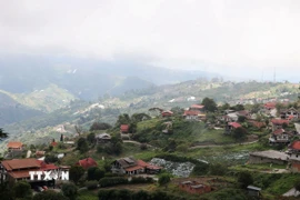 Toàn cảnh Colonia Tovar nhìn từ trên cao. Thị trấn nhỏ nổi bật giữa núi rừng xanh thẳm với những mái ngói đỏ đặc trưng. (Ảnh: Phi Hùng/TTXVN)