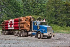 (Ảnh minh họa. Nguồn: Getty Images)