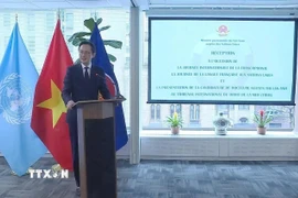 Đại sứ Đỗ Hùng Việt, Trưởng Phái đoàn thường trực Việt Nam tại Liên hợp quốc, phát biểu tại buổi tiếp tân. (Ảnh: Thanh Tuấn/TTXVN)