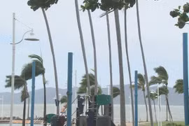 Bão đổ bộ gây gió mạnh. (Ảnh: 9News)