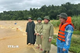 Mưa lũ sau bão số 5 đe dọa an toàn hệ thống đê điều