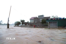 Khu vực dân cư giáp ngã ba hợp lưu của sông Lạch Vạn và sông Đập Tràn (xã Diễn Châu, tỉnh Nghệ An) bị bao quanh bởi mênh mông nước biển dâng. (Ảnh: Xuân Tiến/TTXVN)