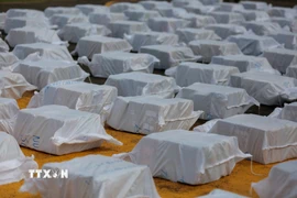 (Ảnh minh họa. AFP/TTXVN)