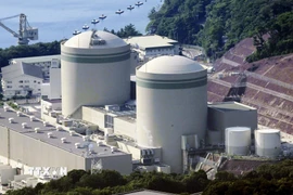 Một lò phản ứng hạt nhân ở Nhật Bản. (Ảnh: Kyodo/TTXVN)