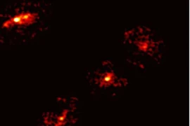 (Ảnh minh họa. Nguồn: phys.org)