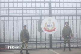 Binh sỹ gác tại cửa khẩu biên giới giữa Pakistan và Ấn Độ, tại Attari, gần Amritsar, Ấn Độ. (Ảnh: ANI/TTXVN)