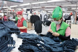 May xuất khẩu, một trong những mặt hàng đóng góp cho tăng trưởng. (Ảnh: Trần Việt/TTXVN)