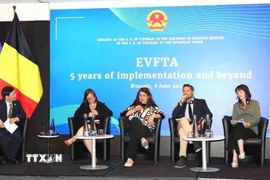 Các diễn giả tại phiên thảo luận. (Ảnh: Hương Giang/TTXVN)
