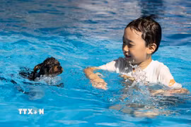 Em nhỏ tránh nóng dưới bể bơi cùng thú cưng tại Seoul, Hàn Quốc. (Ảnh: THX/TTXVN phát)