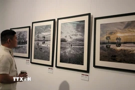 Một góc không gian triển lãm. (Ảnh: Phương Thanh/TTXVN)