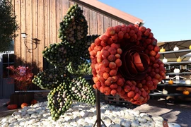 Chiêm ngưỡng "biển bí ngô" khổng lồ tại Lễ hội Klaistow 2025