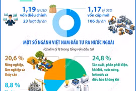Đầu tư của Việt Nam ra nước ngoài trong 7 tháng đạt 2,36 tỷ USD