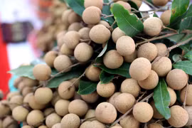 (Ảnh: Thế Duyệt/TTXVN)