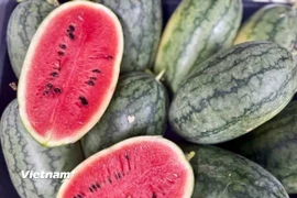 Dưa hấu là một trong những loại quả tốt cho người bệnh sỏi mật. (Ảnh: Vietnam+)
