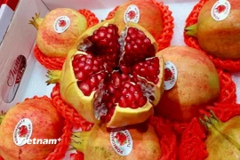 Nước ép lựu tốt cho người bệnh sỏi thận. (Nguồn: Vietnam+)