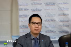 Tham tán Thương mại Việt Nam tại Israel Lê Thái Hòa. (Ảnh: TTXVN phát)