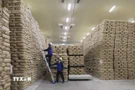 Một kho dự trữ gạo. (Ảnh minh họa. Kyodo/TTXVN)