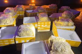 240kg chả mực không có thông tin về nguồn gốc xuất xứ được lực lượng chức năng thu giữ. (Ảnh: Báo Hà Tĩnh)