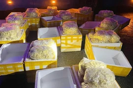 240kg chả mực không có thông tin về nguồn gốc xuất xứ được lực lượng chức năng thu giữ. (Ảnh: Báo Hà Tĩnh)