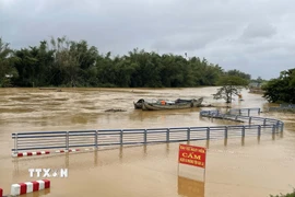 Nước lũ trên sông Trà Khúc dâng cao gây ngập đường vào xóm Lân, xã Tịnh Khê, tỉnh Quảng Ngãi. (Ảnh: Phạm Cường/TTXVN)