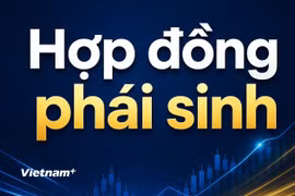 (Ảnh minh họa. Nguồn: Vietnam+)