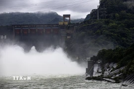 (Ảnh minh họa. Trọng Đạt/TTXVN)