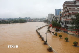 Các tuyến phố bên sông đang bị ngập lụt. (Ảnh: Chu Hiệu/TTXVN)