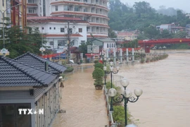 Nước sông Bằng đang lên rất nhanh, có thể gây ngập lụt ở các vùng trũng. (Ảnh: Chu Hiệu/TTXVN)