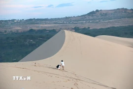 Mỗi đợt gió biển thổi vào sẽ làm những đồi cát thay đổi hình dạng, uyển chuyển như những dải lụa. (Ảnh: Hồng Hiếu/TTXVN)