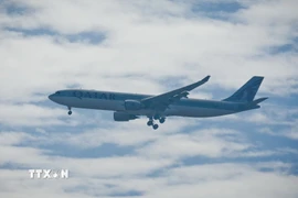 Máy bay của hãng hàng không Qatar Airways. (Ảnh: THX/TTXVN)