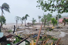 Khu vực chịu ảnh hưởng bởi siêu bão Fung-wong tại tỉnh Catanduanes, Philippines. (Ảnh: THX/TTXVN)