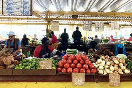 Chợ nông sản ở La Habana, Cuba. (Ảnh: Ngọc Duy/TTXVN)