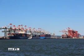 Quang cảnh cảng hàng hóa tại Bayonne, New Jersey, Mỹ. (Ảnh: THX/TTXVN)