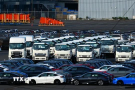 Ôtô chờ xuất khẩu tại cảng ở Yokohama, Nhật Bản. (Ảnh: THX/TTXVN)